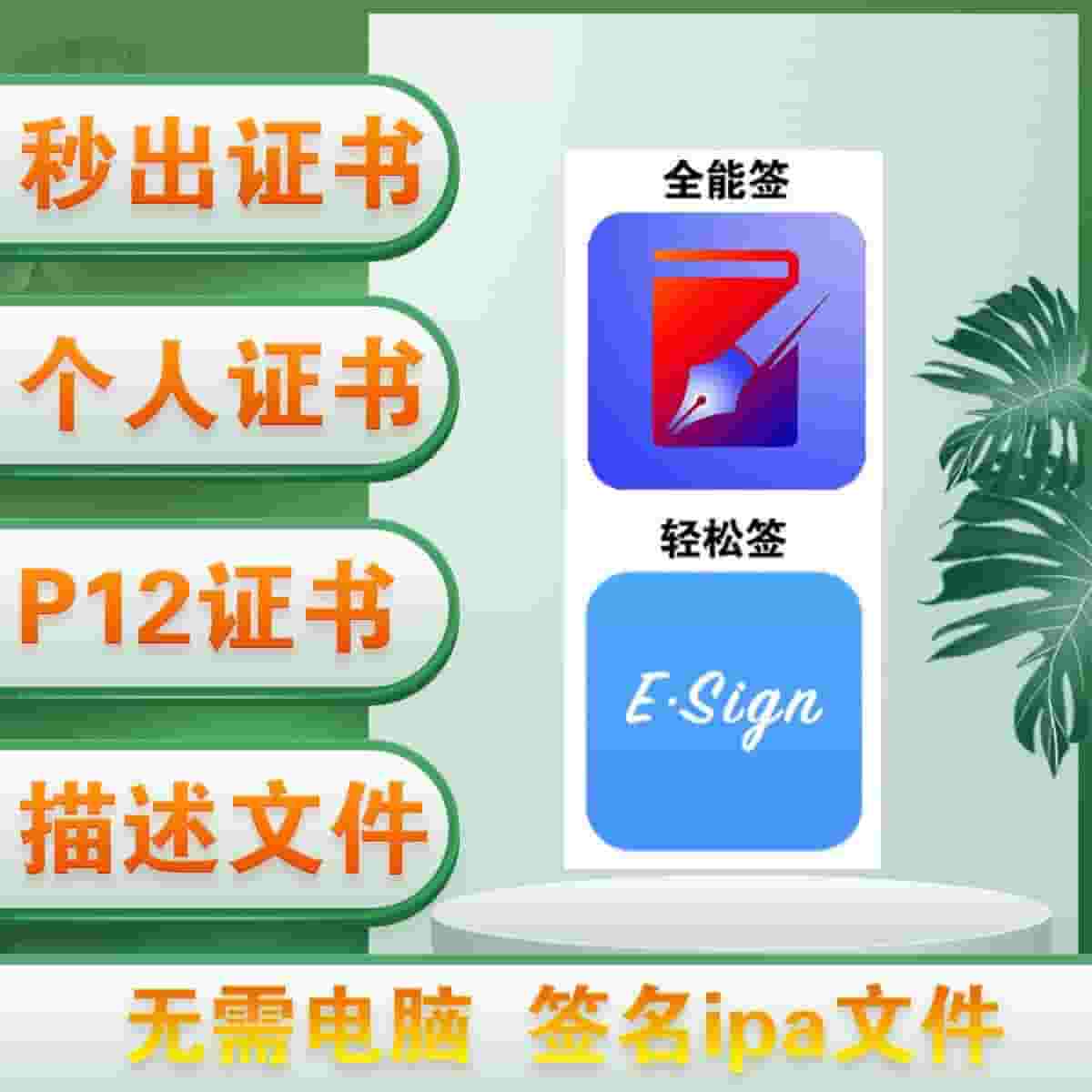 P12 个人开发者证书